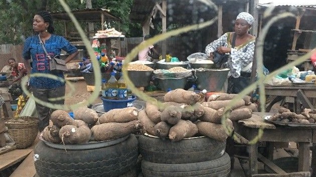 Small business will have access to small and affordable...